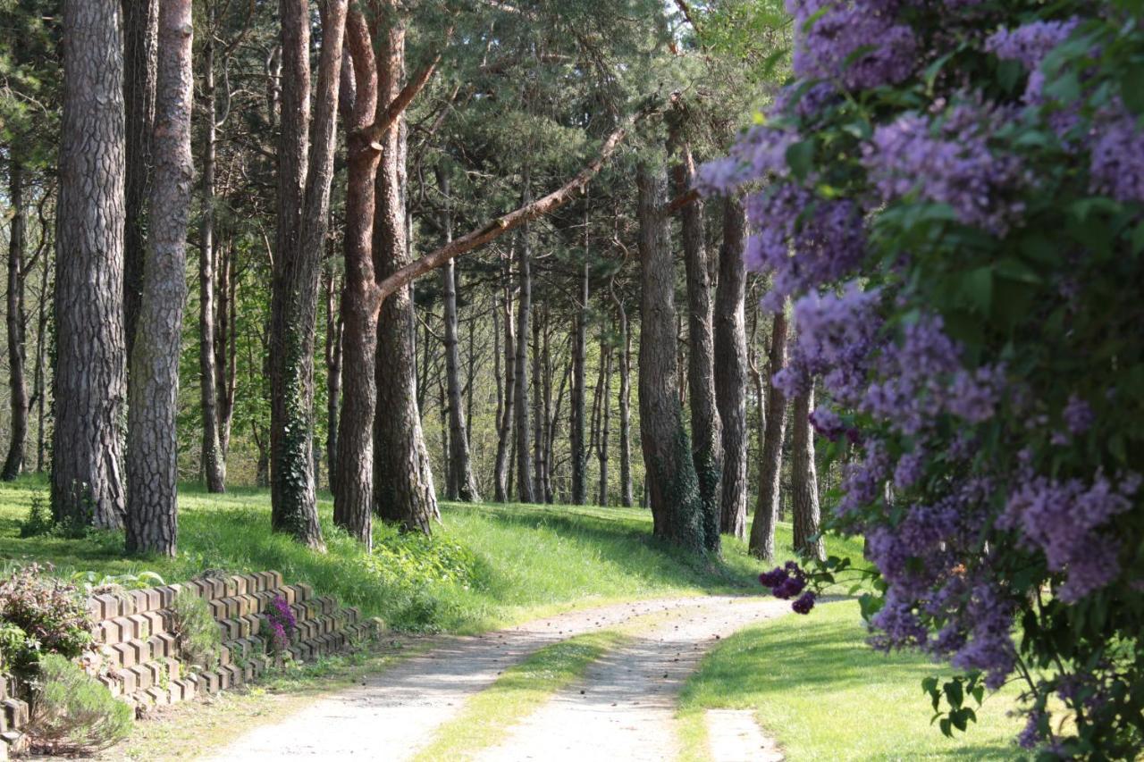 La Poignardiere Châtillon-sur-Indre Kültér fotó